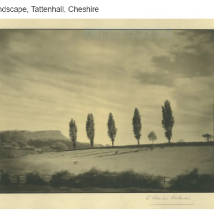 Tattenhall