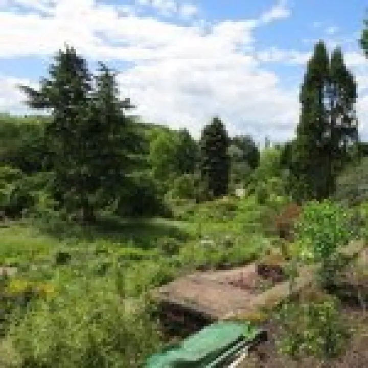 Ness Gardens jpg41