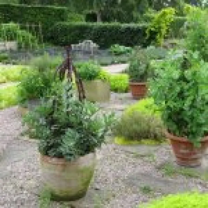Ness Gardens jpg8