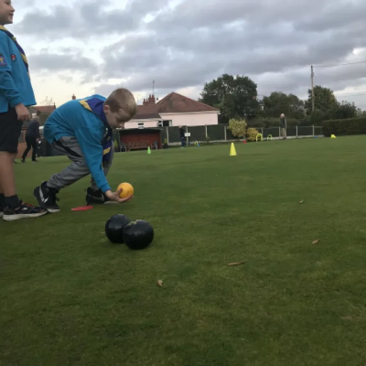 beavers 6