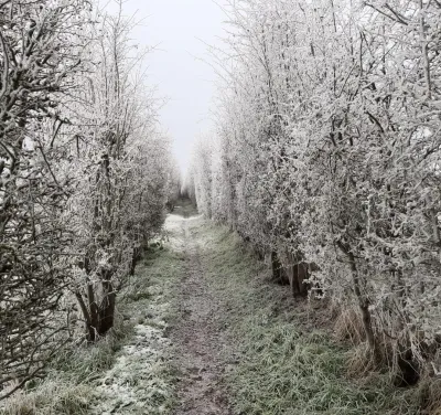 winter on potters