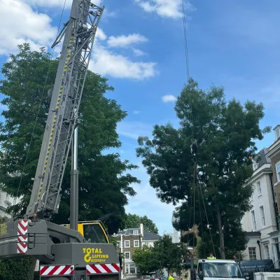 7.5 crane 2