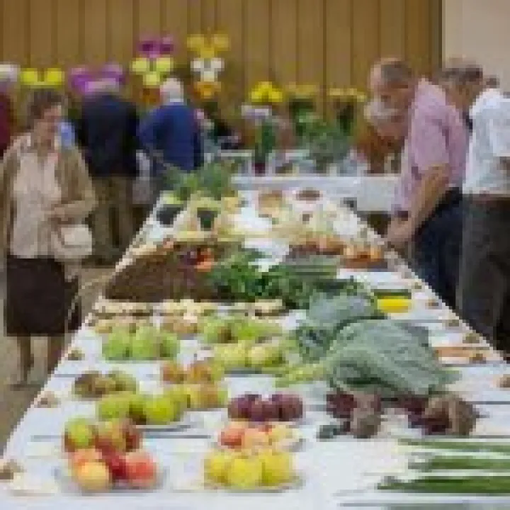 Annual Show 02