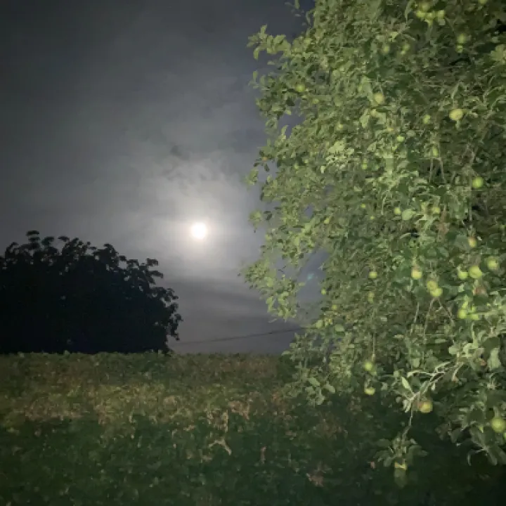 Super Blue Moon