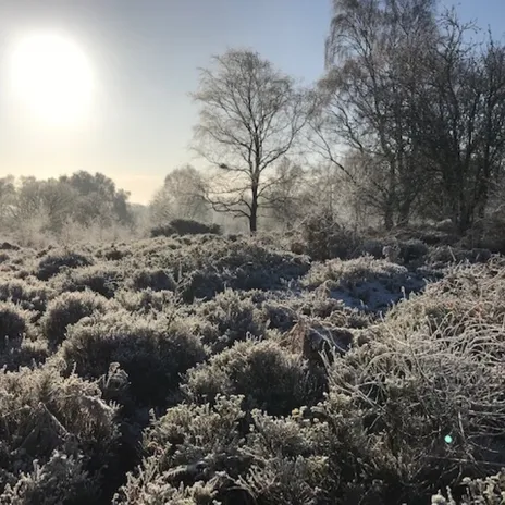 Bickerton Hill