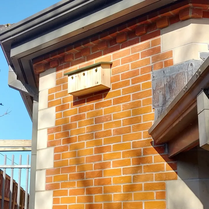 Edited Birdbox