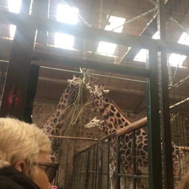 Zoo