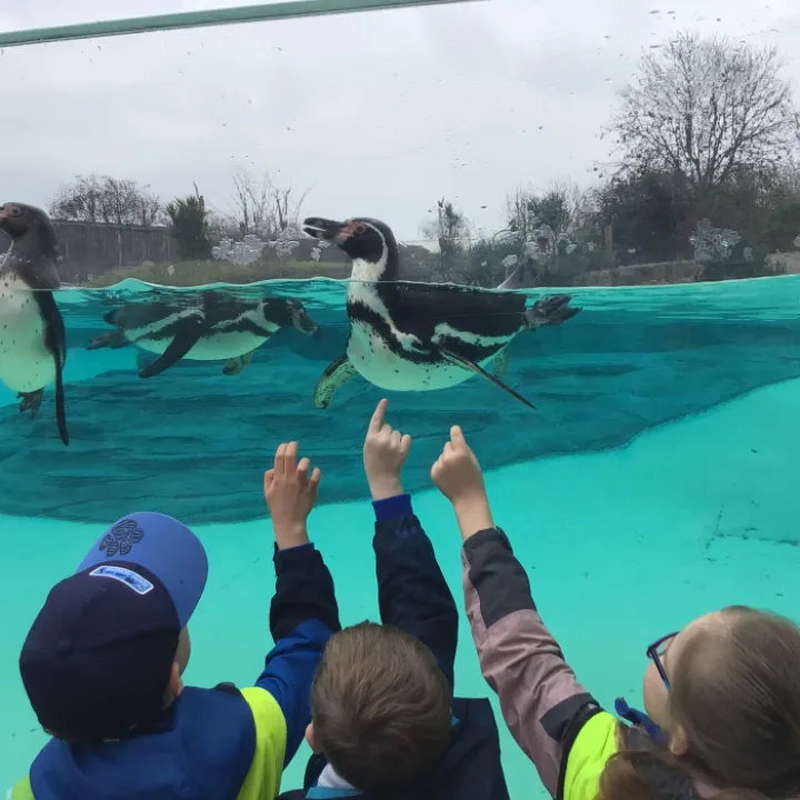 Zoo