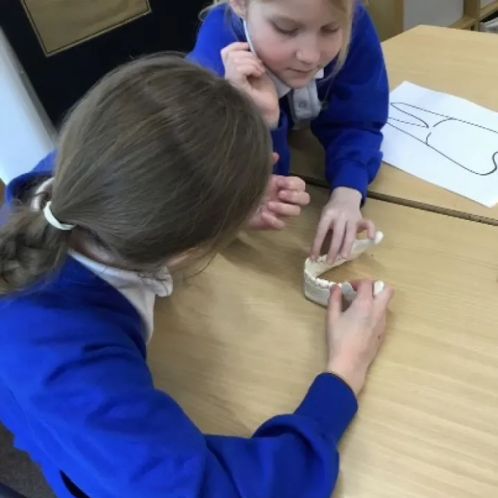 Y4 science week Y4