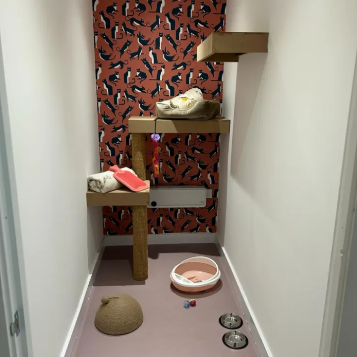 Image20
