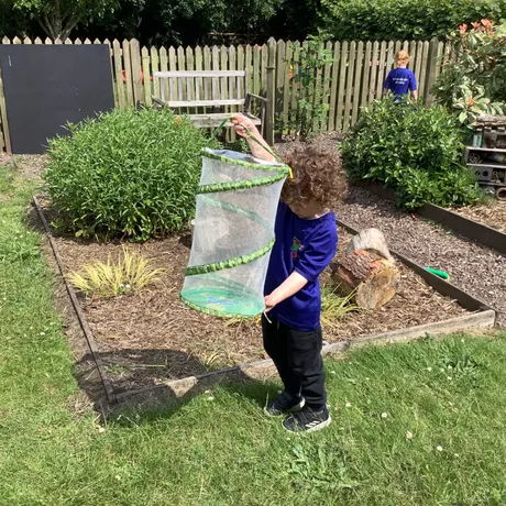 Bug hunting