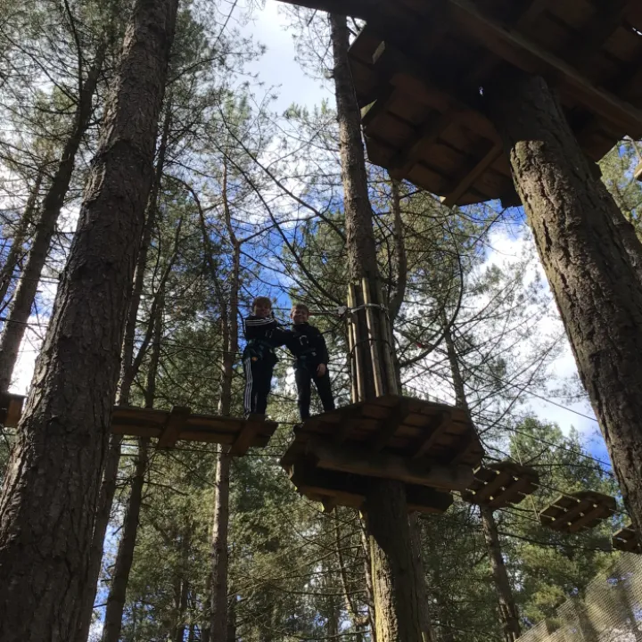 Go Ape