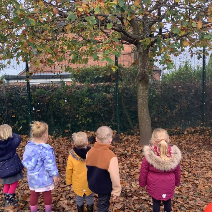 15.11