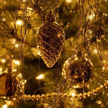 Christmas tree, holiday, season