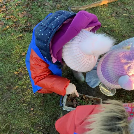 Bug hunting