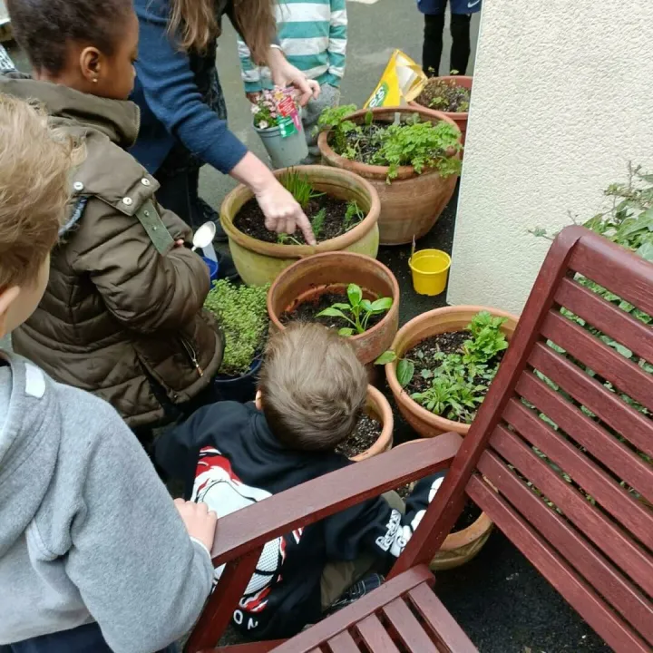 Jc garden 2