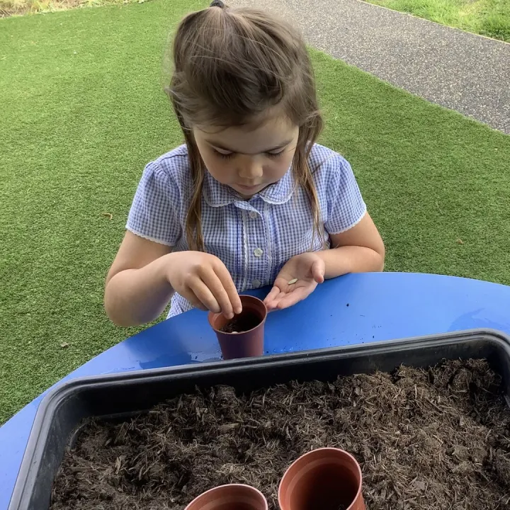 Planting