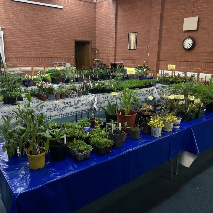 Plant Sale 2025 Preparations