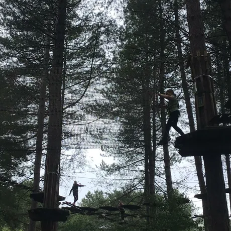 Go Ape
