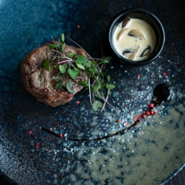 A plated steak with microgreens and a mushroom sauce