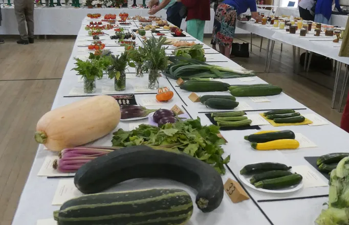 HHS Show Veg 2025_02