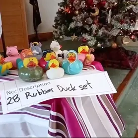 Nativity 5