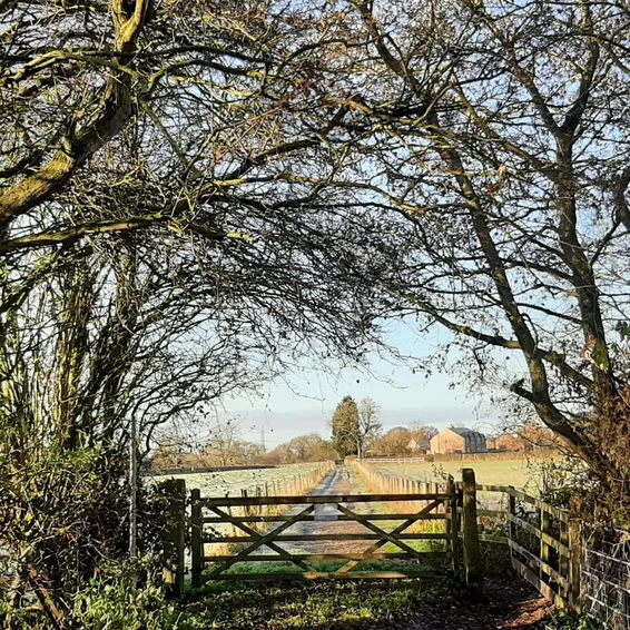 Countryside gate framed by trees