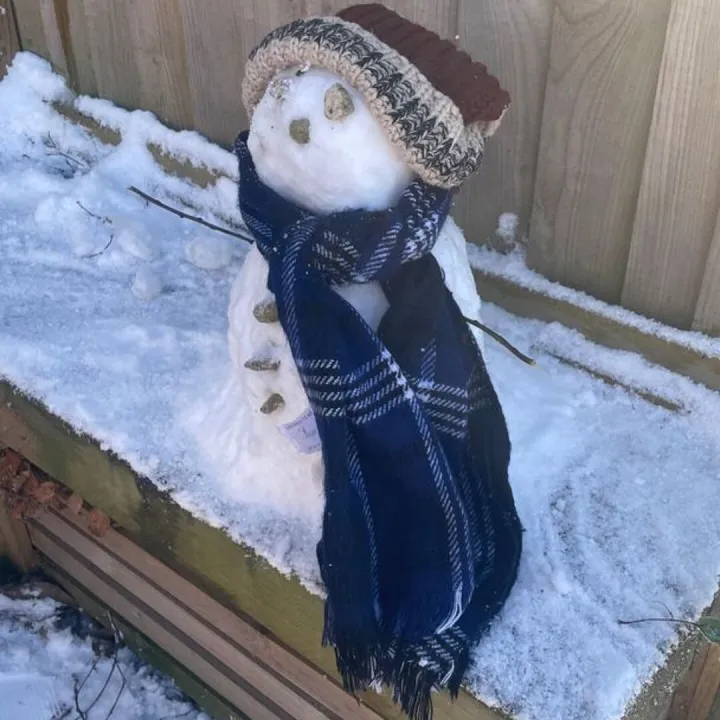 Snow Day