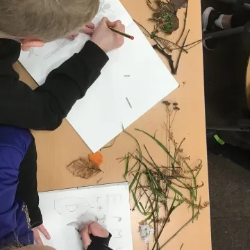 Art