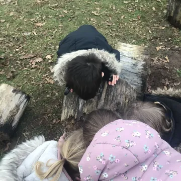 67e607d1-De17-43d9-8f5c-05de36b062c9