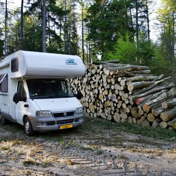 Camping, motorhome, peaceful, forest, travel