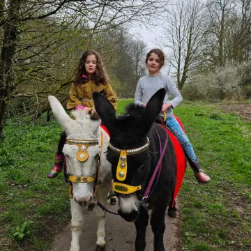 Whatsapp Image 2026-03-23 At 13