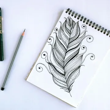 Artistic feather sketch with pen and pencil on