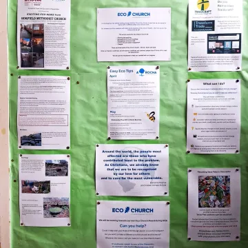 Eco Notice Board