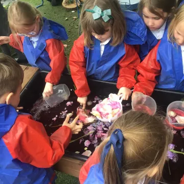 3dd19e66-1414-4e78-92cf-3276563b7572