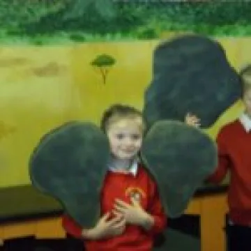 Which ears are the larger? Asian or African elepha