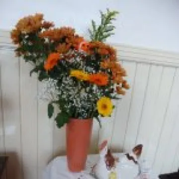 Ryhill Flower Festival &ndash; 2