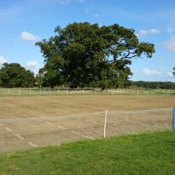 Croquet Gridlines