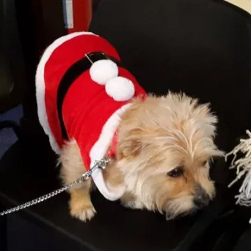 Millie at messy nativity