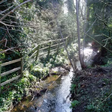 March  Millbrook In The Spinney