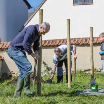 Wildflower & Fruit Bush Planting 03