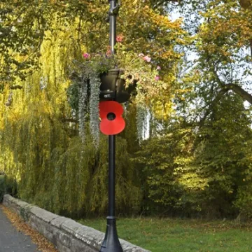 Poppy Lamp 1 copy web prep