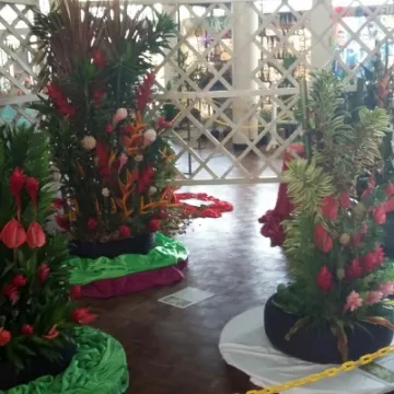 Suva Flowers 5