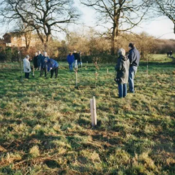 tarvin woodland 2000