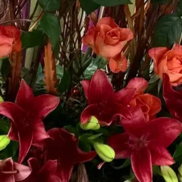 Flower Club Jan 2017 Wp_20170111_21_31_33_pro  2