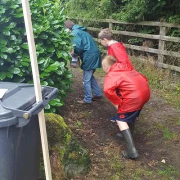 Looking for treasure