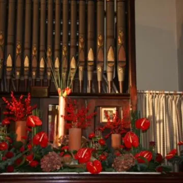 flower show8
