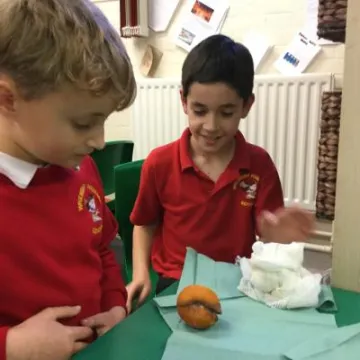 94AF954C-4539-4FAE-B096-AD0888D62D56