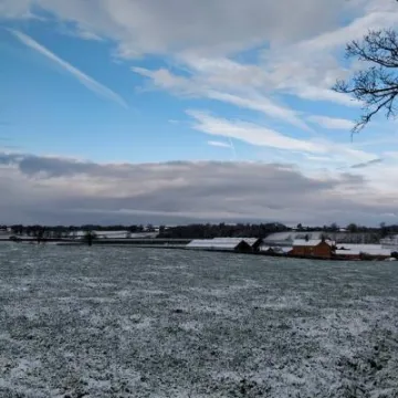 24900224_1752182281460287_6945127187280998592_n