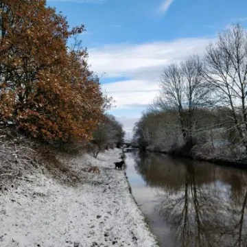 24900072_1752182241460291_1385912130754650387_n